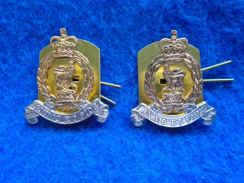 A PAIR OF NEW ERII ADJUTANT GENERALS CORPS ANODISED GOLD & SILVER COLLAR BADGES